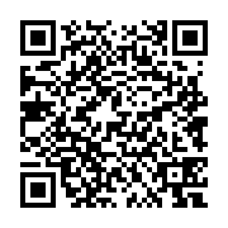 QR code for plate WPD-3384