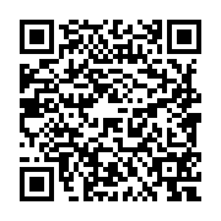 QR code for WPL9542