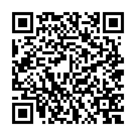 QR code for plate WPU-6771