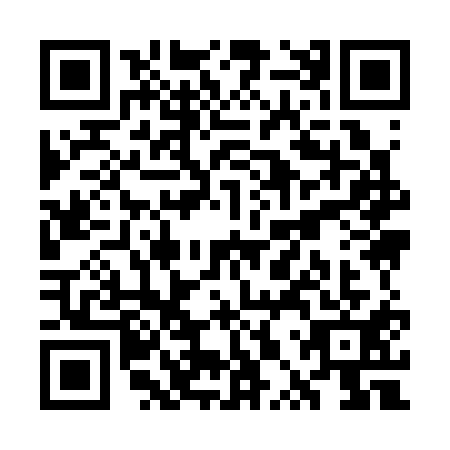 QR code for WPY-3113