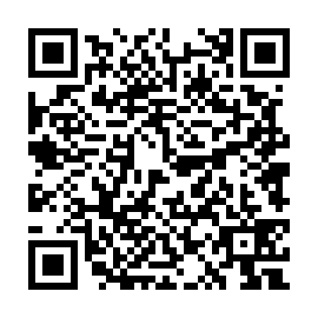 QR code for WQT-5393