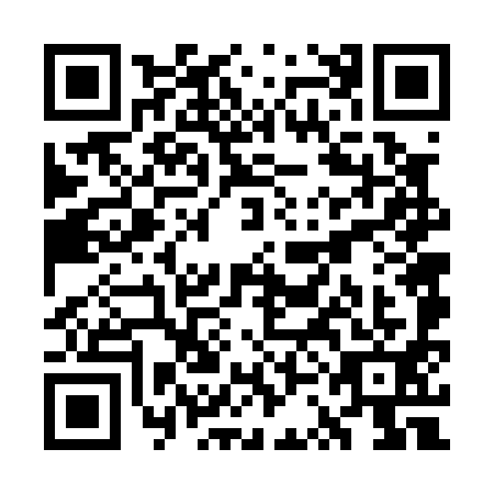 QR code for plate WSF-0919