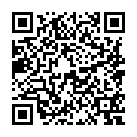 QR code for plate WSH-9101