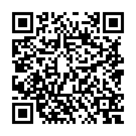QR code for plate WTH-8228