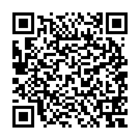 QR code for WXB-2987