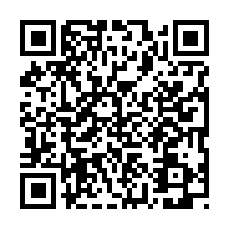 QR code for plate WYI-6311