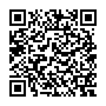 QR code for WYS-6508