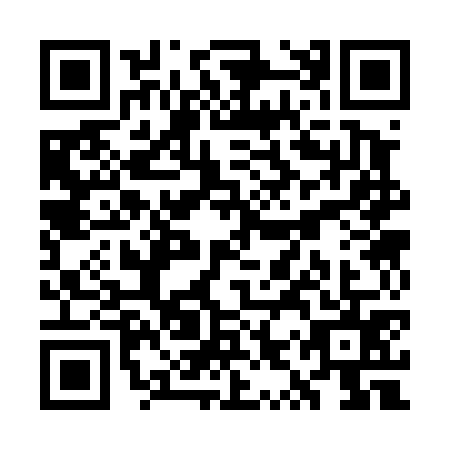QR code for plate WYS-4755