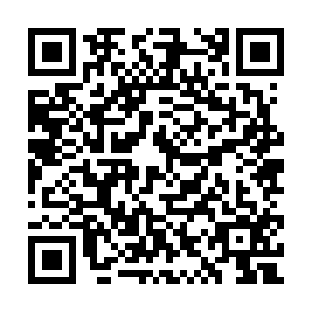 QR code for plate WYZ-6161