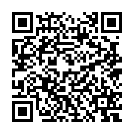 QR code for plate WZA-0250