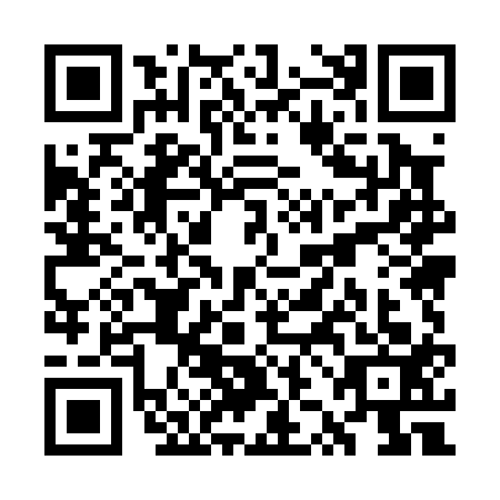 QR code for WZM0137
