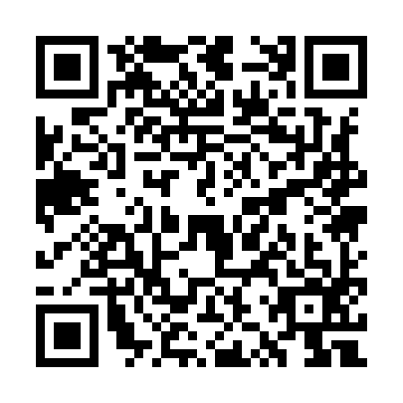QR code for WZQ9965