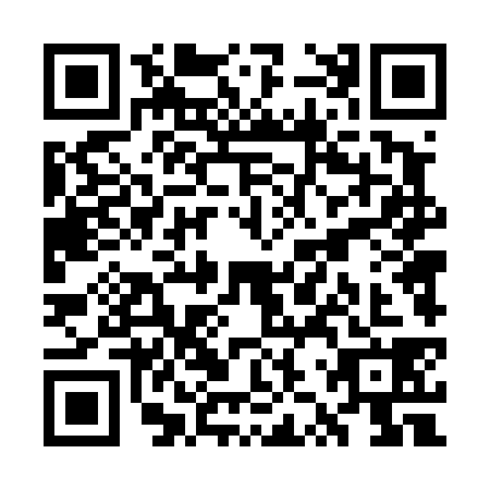 QR code for plate WZT-4381