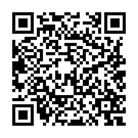 QR code for WZW-9271