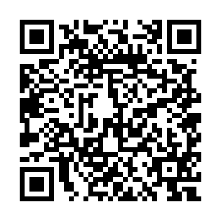 QR code for WZW5953