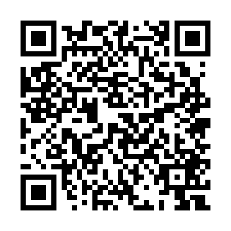 QR code for plate XBE-3493