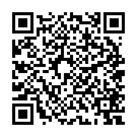 QR code for XDE-2493