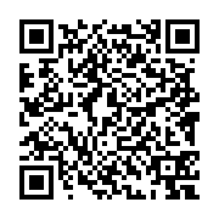 QR code for plate XDL-5309
