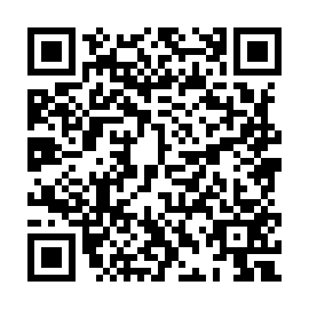 QR code for XDX9533