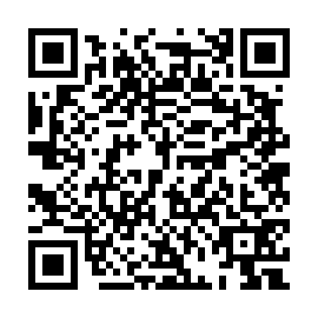 QR code for XFB4729