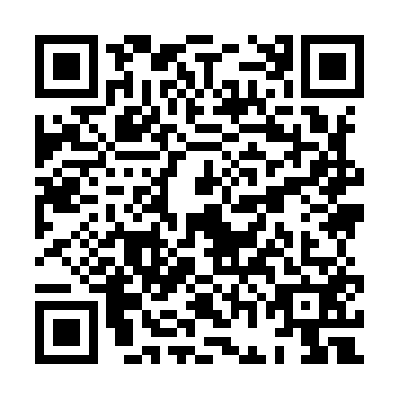 QR code for XGI9523