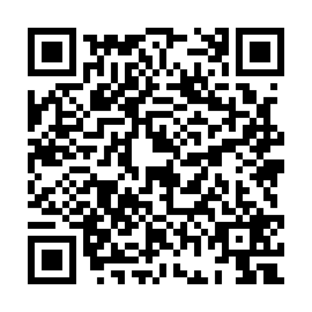 QR code for XGM-1293
