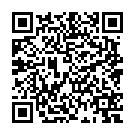 QR code for XGX-4245