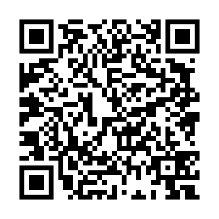 QR code for XGX-4393