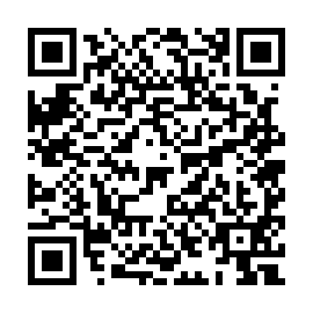 QR code for plate XIG-1913