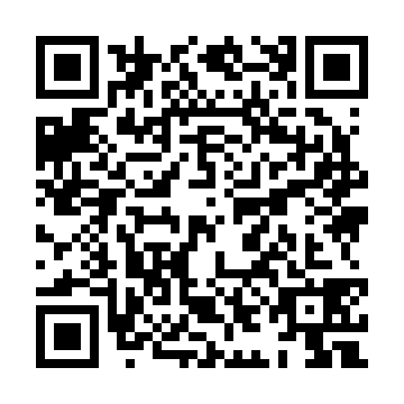 QR code for plate XII-2384