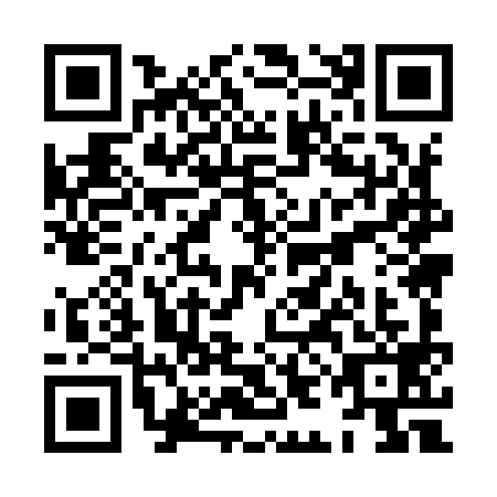 QR code for plate XIM-9996