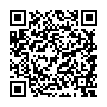 QR code for plate XIN-8882