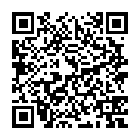QR code for plate XIY-0383