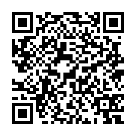 QR code for XJA0341
