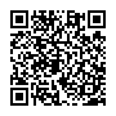 QR code for plate XLD-6838