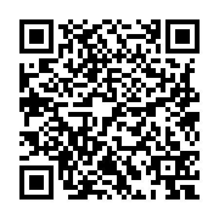 QR code for plate XLS-9334