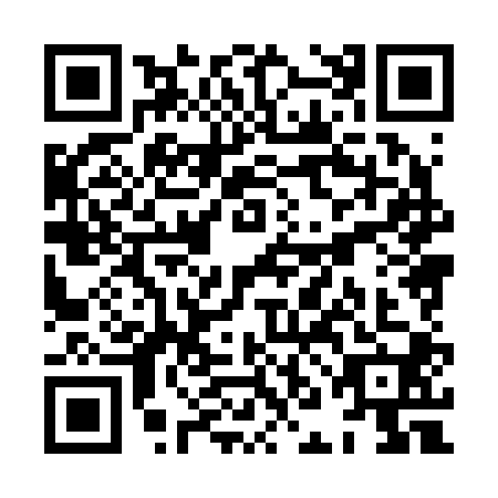 QR code for plate XNH-2001