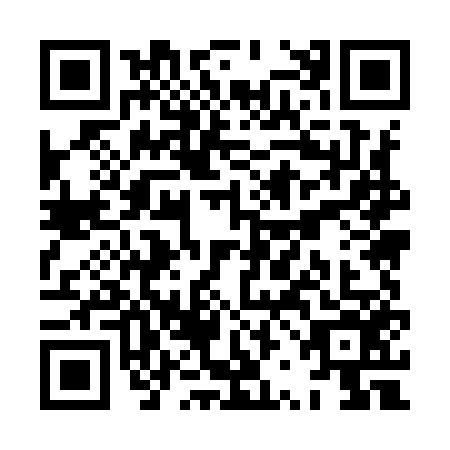 QR code for plate XRM-9565
