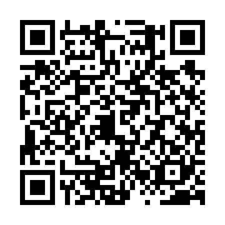 QR code for plate XRQ-6203