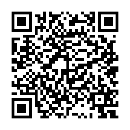QR code for XSE-1253