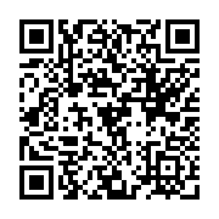 QR code for XVS2333