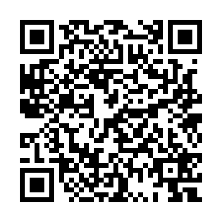 QR code for plate XWS-1295