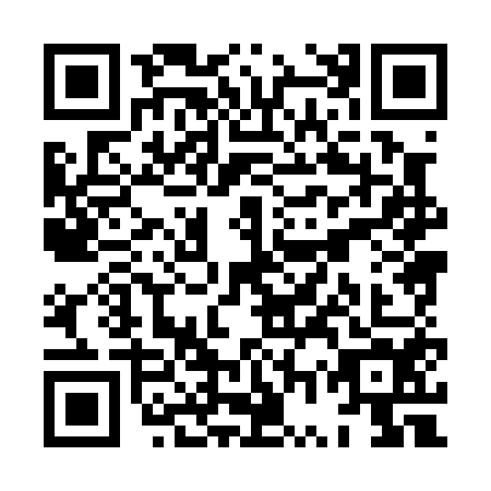 QR code for plate XWX-0541
