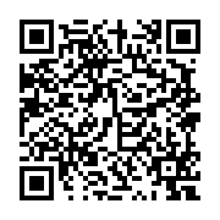 QR code for plate XZI-4950