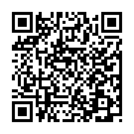 QR code for plate YBB-2919