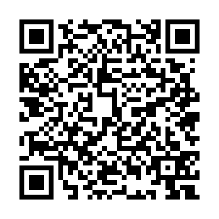 QR code for YEE7333