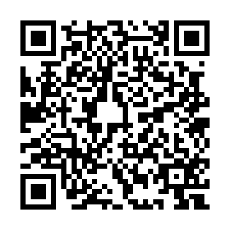 QR code for YES-0161