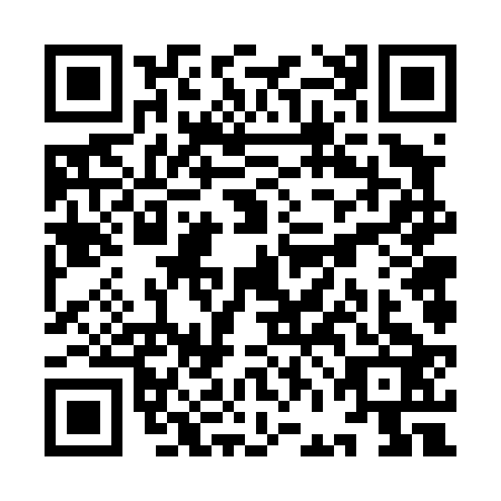 QR code for YFF-4233
