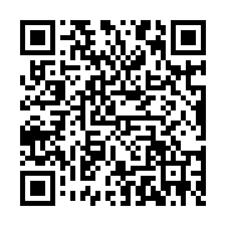 QR code for plate YGZ-9541