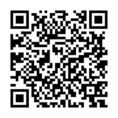 QR code for plate YLO-8717